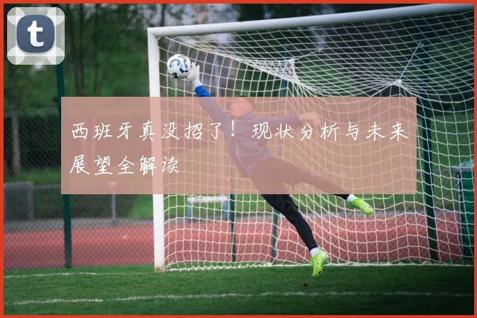 西班牙真没招了!现状分析与未来展望全解读
