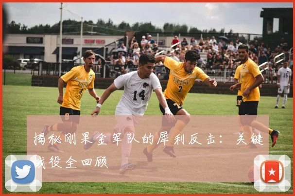 揭秘刚果金军队的犀利反击：关键战役全回顾